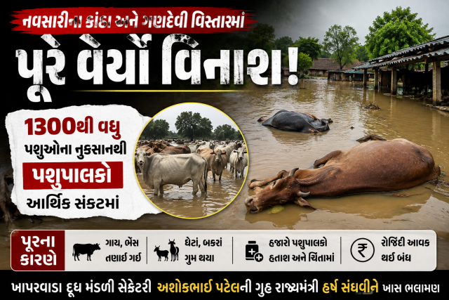 🚨 નવસારીના કાઠા અને ગણદેવી વિસ્તારમાં પૂરે વેર્યો વિનાશ: ૧૩૦૦થી વધુ પશુઓના નુકસાનથી પશુપાલકો આર્થિક સંકટમાં